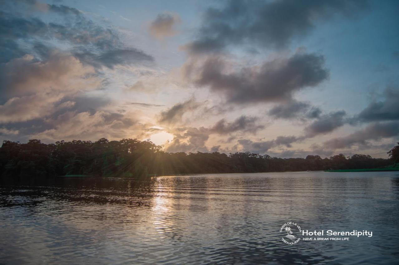 El Deseo Serendipity Tortuguero Εξωτερικό φωτογραφία