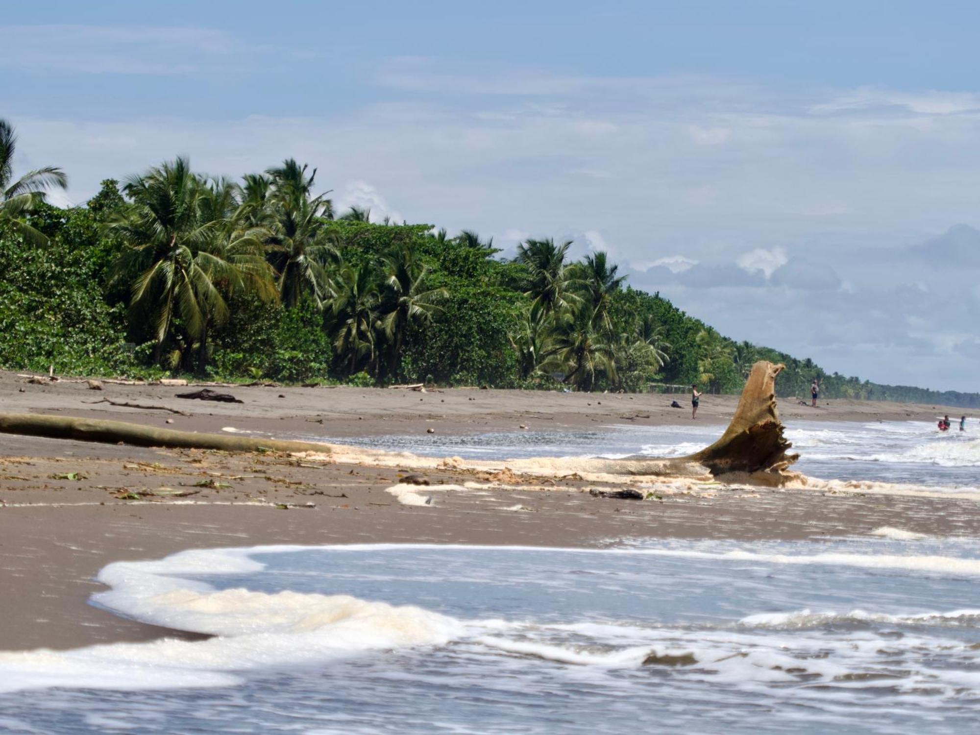El Deseo Serendipity Tortuguero Εξωτερικό φωτογραφία