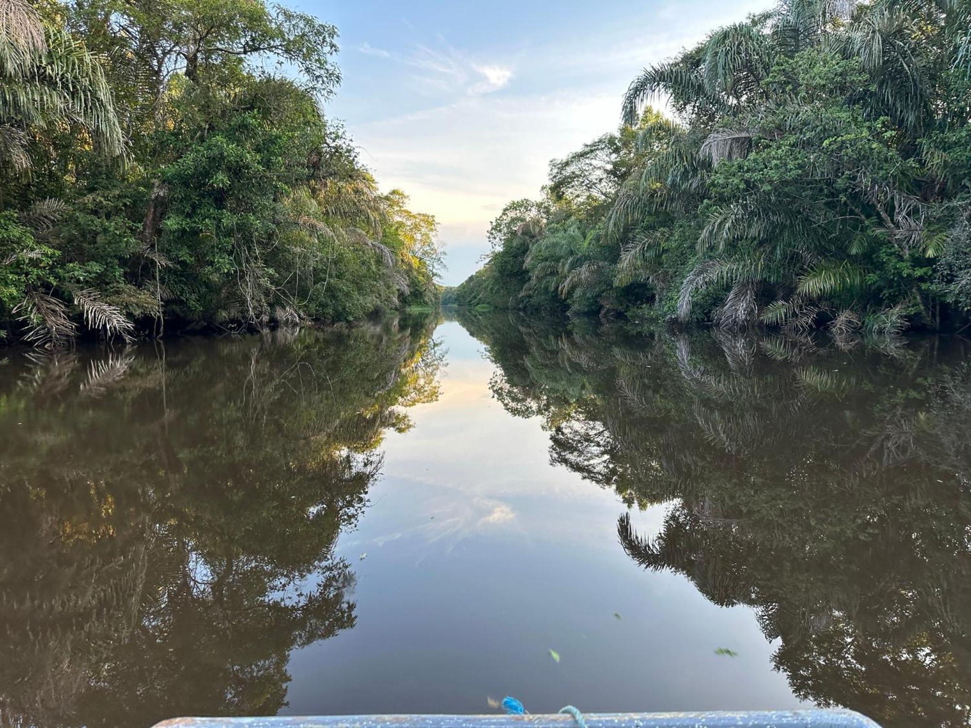 El Deseo Serendipity Tortuguero Εξωτερικό φωτογραφία