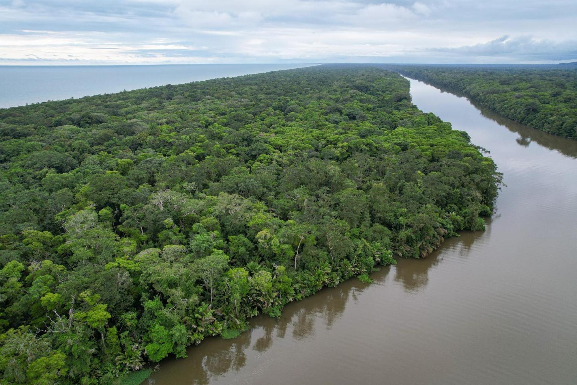 El Deseo Serendipity Tortuguero Εξωτερικό φωτογραφία