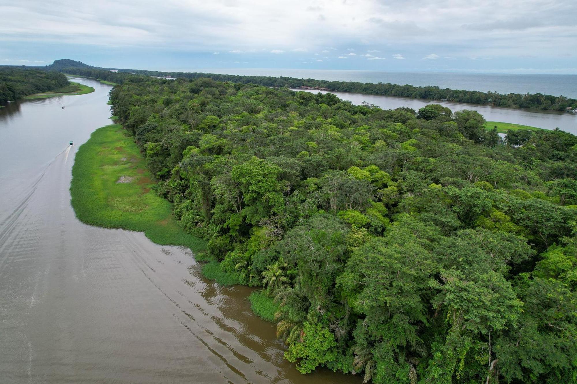 El Deseo Serendipity Tortuguero Εξωτερικό φωτογραφία