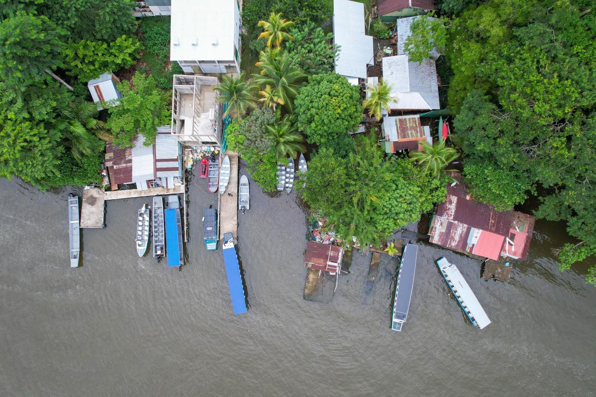 El Deseo Serendipity Tortuguero Εξωτερικό φωτογραφία