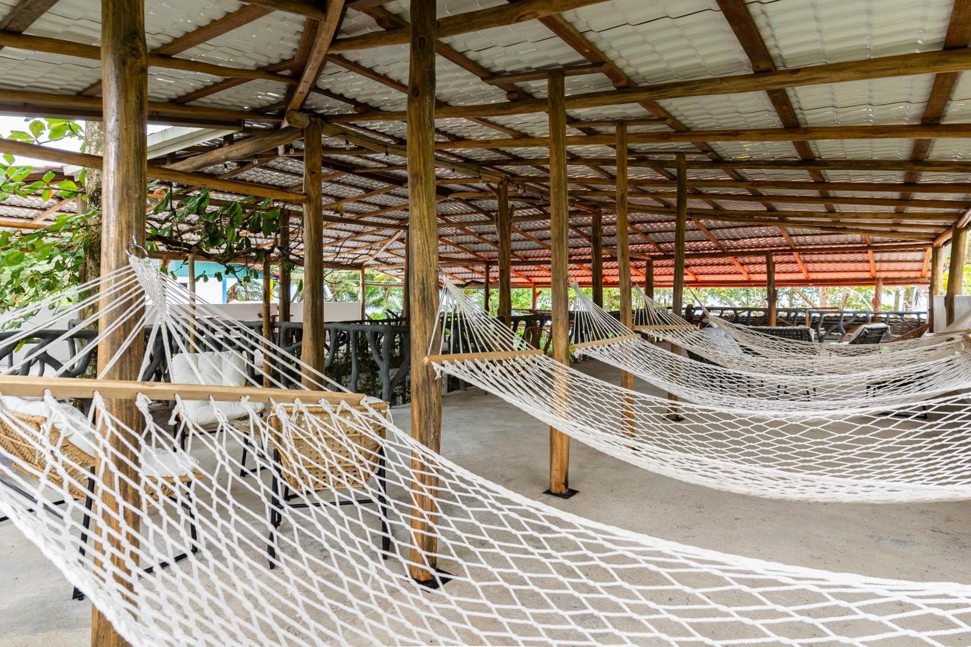 El Deseo Serendipity Tortuguero Εξωτερικό φωτογραφία