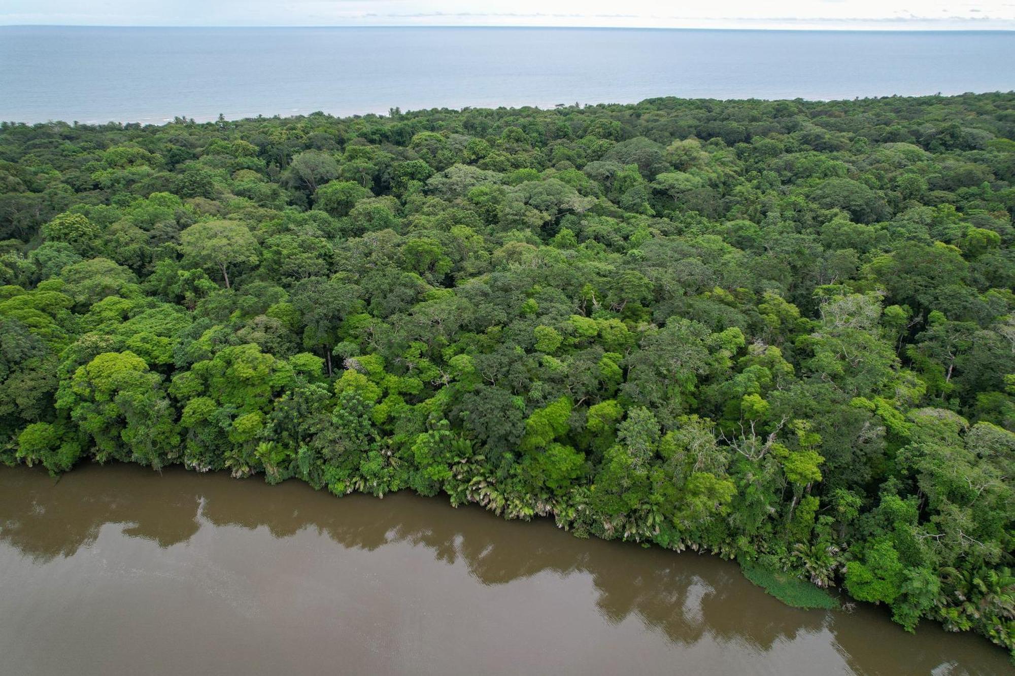 El Deseo Serendipity Tortuguero Εξωτερικό φωτογραφία