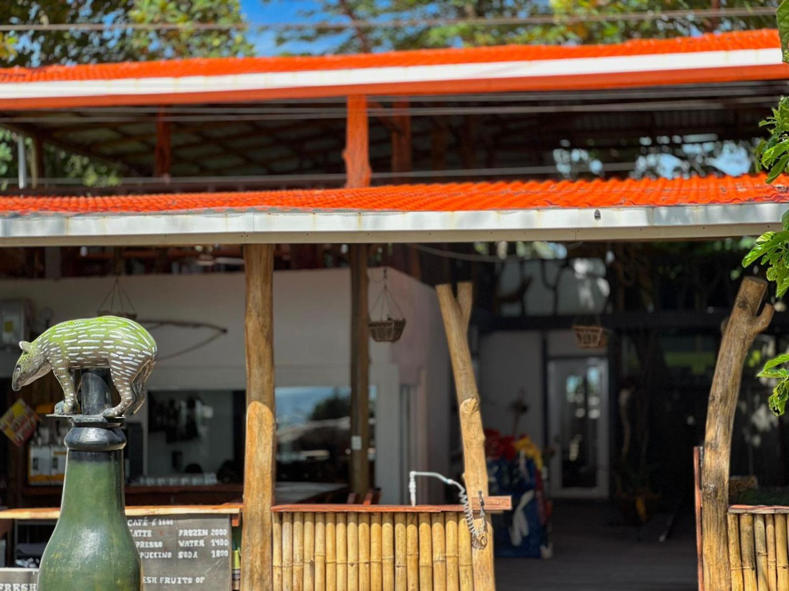 El Deseo Serendipity Tortuguero Εξωτερικό φωτογραφία