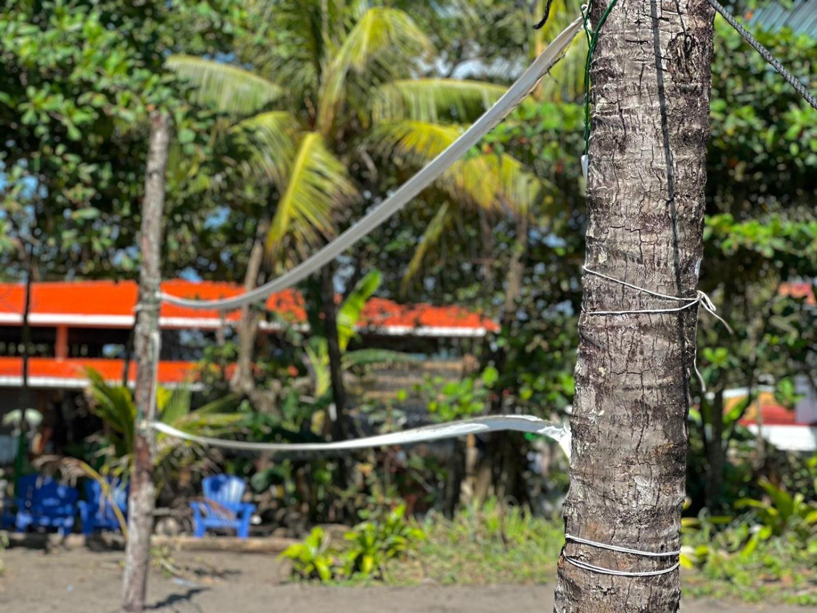 El Deseo Serendipity Tortuguero Εξωτερικό φωτογραφία