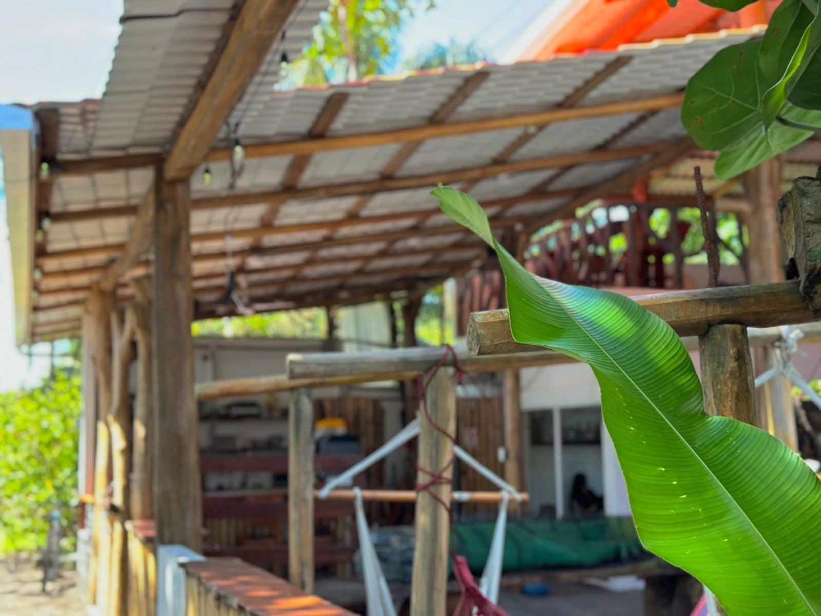 El Deseo Serendipity Tortuguero Εξωτερικό φωτογραφία