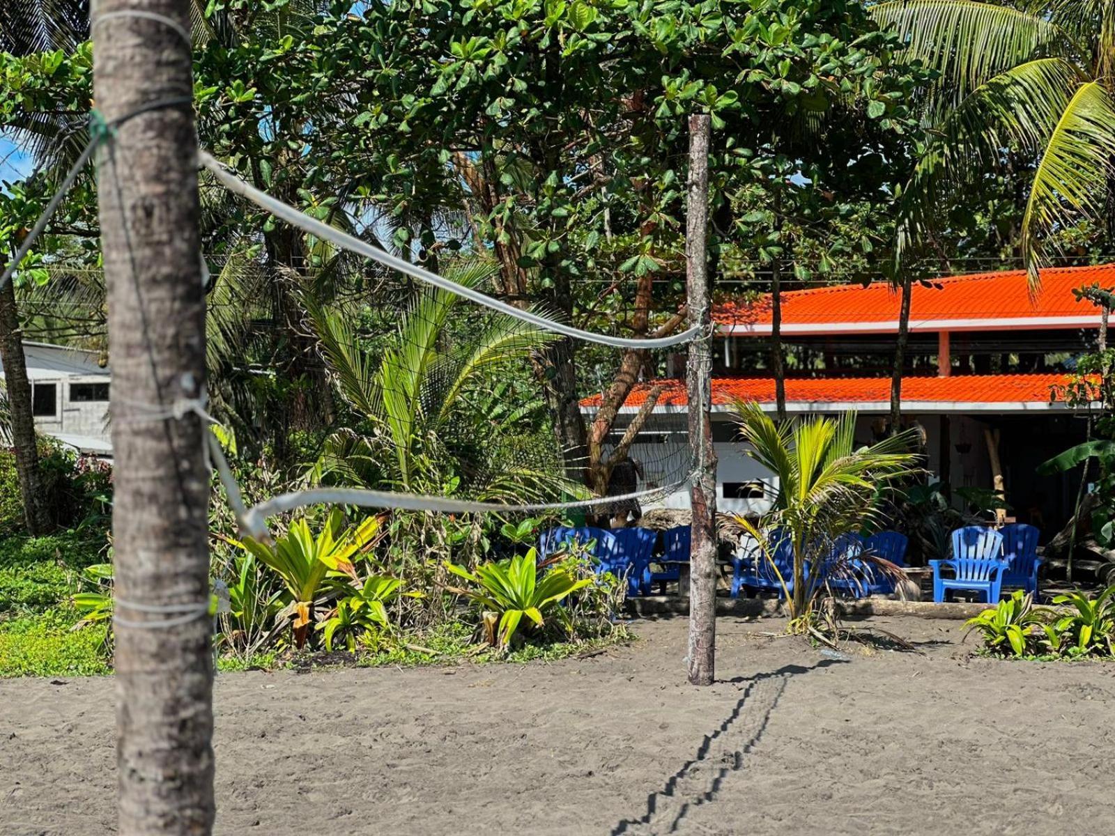 El Deseo Serendipity Tortuguero Εξωτερικό φωτογραφία